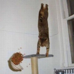 erase me cover (ft my nasal congestion)