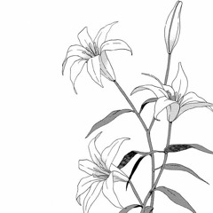 Tunes/Passing Time Music