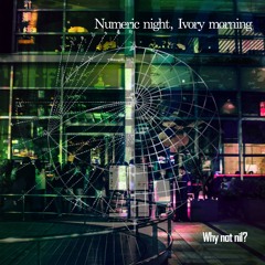 Why not nil? - "Numeric night, Ivory morning" - Album Digest