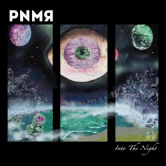 1 PNMR - Into The Night
