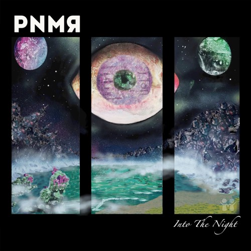 STS9 - Shock Doctrine (PNMR Remix) [Bonus Track]