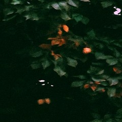 In The Flesh [Prod. Roland]