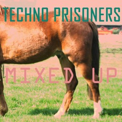 Techno Prisoners - Mixed Up (you can download this and even give a copy to your mum)