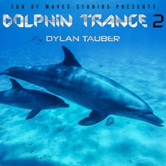Dolphin Swim Remix (feat. Enlia)