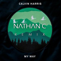 My Way (Nathan C Remix) [Hit 'Buy' for FREE DL]