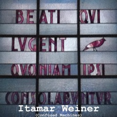 PRLXMIXX05 - Itamar Weiner (Confused Machines)