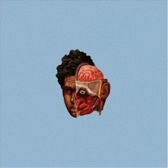whereisalex - wdym.