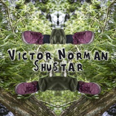 2 Victor Norman - Shustar (Kopfüber Sampler 3)