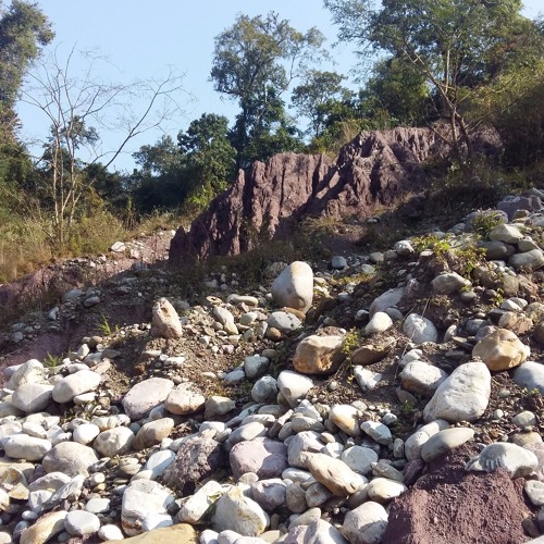 Mila Gurma 0UnknownUnknownTrack 01 (3)