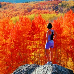 Dear Refeoh, Episode 38- Autumn Soul