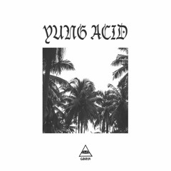 Yung Acid - Take Hip