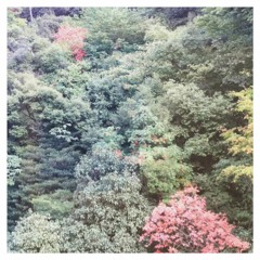 autumnal equinox (shūbun no hi)