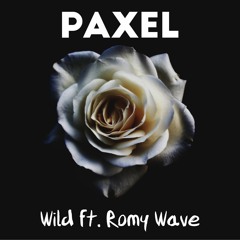 Troye Sivan X Romy Wave - WILD (Paxel Remix)