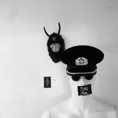 SLOWbloW (Vinyl Set)