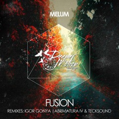 Melum - Fusion (Abriviatura IV & TeckSound Remix)