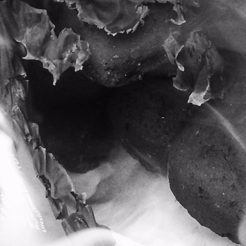 Can You See It Now? [demo]