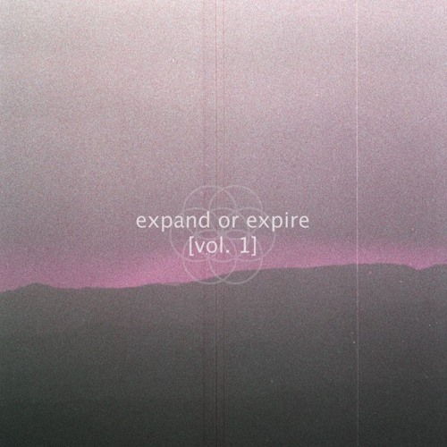 chief & niq ~ expired