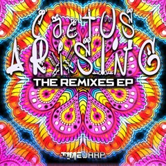 The Remixes EP  "preview"