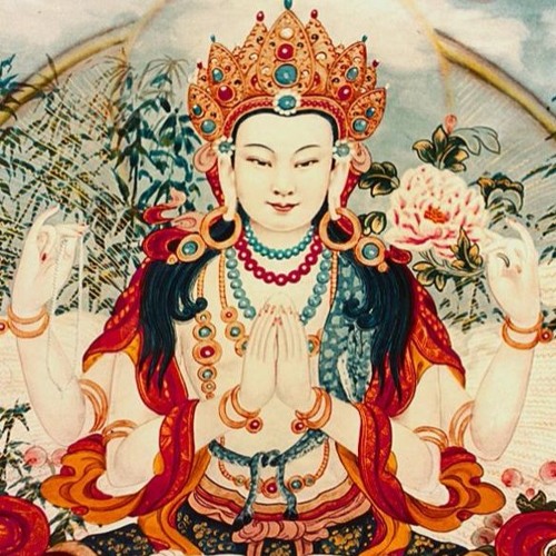 Introduction 37 Practices