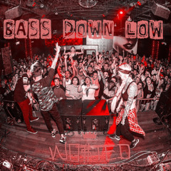 BASS DOWN LOW