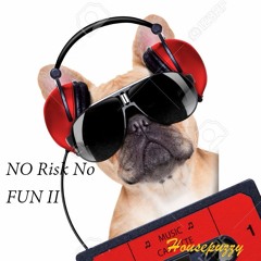 Housepuzzy No Risk No Fun - Tape II