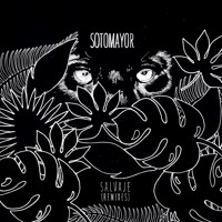 Sotomayor - Morenita (Disque DJ Remix)