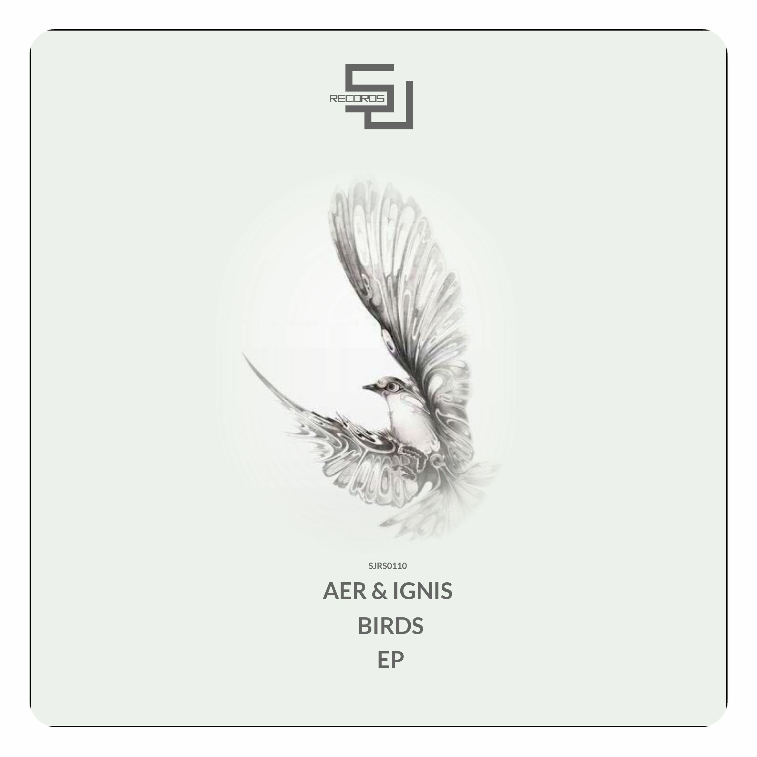 Out Now - Aer & Ignis - Birds (Original Mix) [SJRS0110] - Beatport Exclusive - 17.10.2016