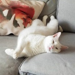 Punkie Chillin On The Couch: An Original Composition by Me VIP