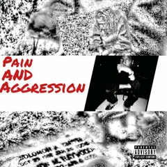 King woodz-pain & aggression (sample)