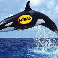 Midas Whale