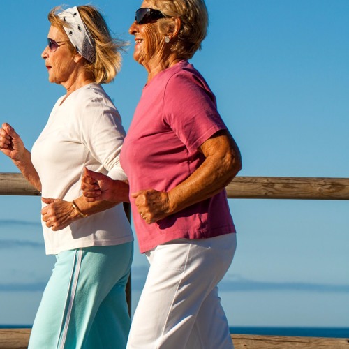 Stream episode 110 Steps Episode 25 How To Lose Weight With Two