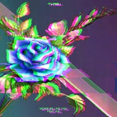 Flume X The Chainsmokers - Never Be Like ROSES (Re-Glitch)