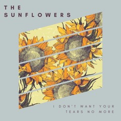 I Don´t Want Your Tears No More