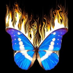 When Butterflies Die Ft. Karandi (prod. shoelacebelt)