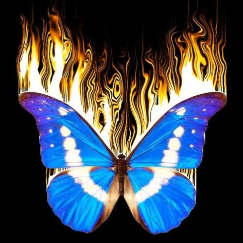 When Butterflies Die Ft. Karandi (prod. shoelacebelt)