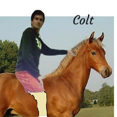 My Colt