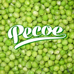 The JBs - Pass The Peas (Pecoe 2016 Flip)