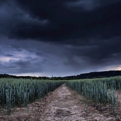 Advice To One Who Thinks ill Of His Brothers' Intentions / Dr. Abdur Rahman Omaisan