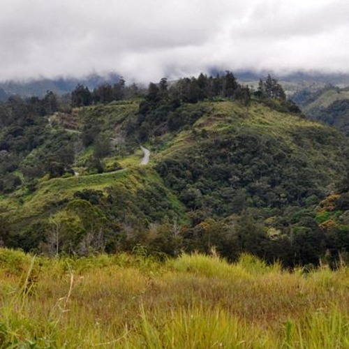 Stream QUAKES Stringband Of Rabaul - Lulu.. by Johnathan Mylez Juniour ...