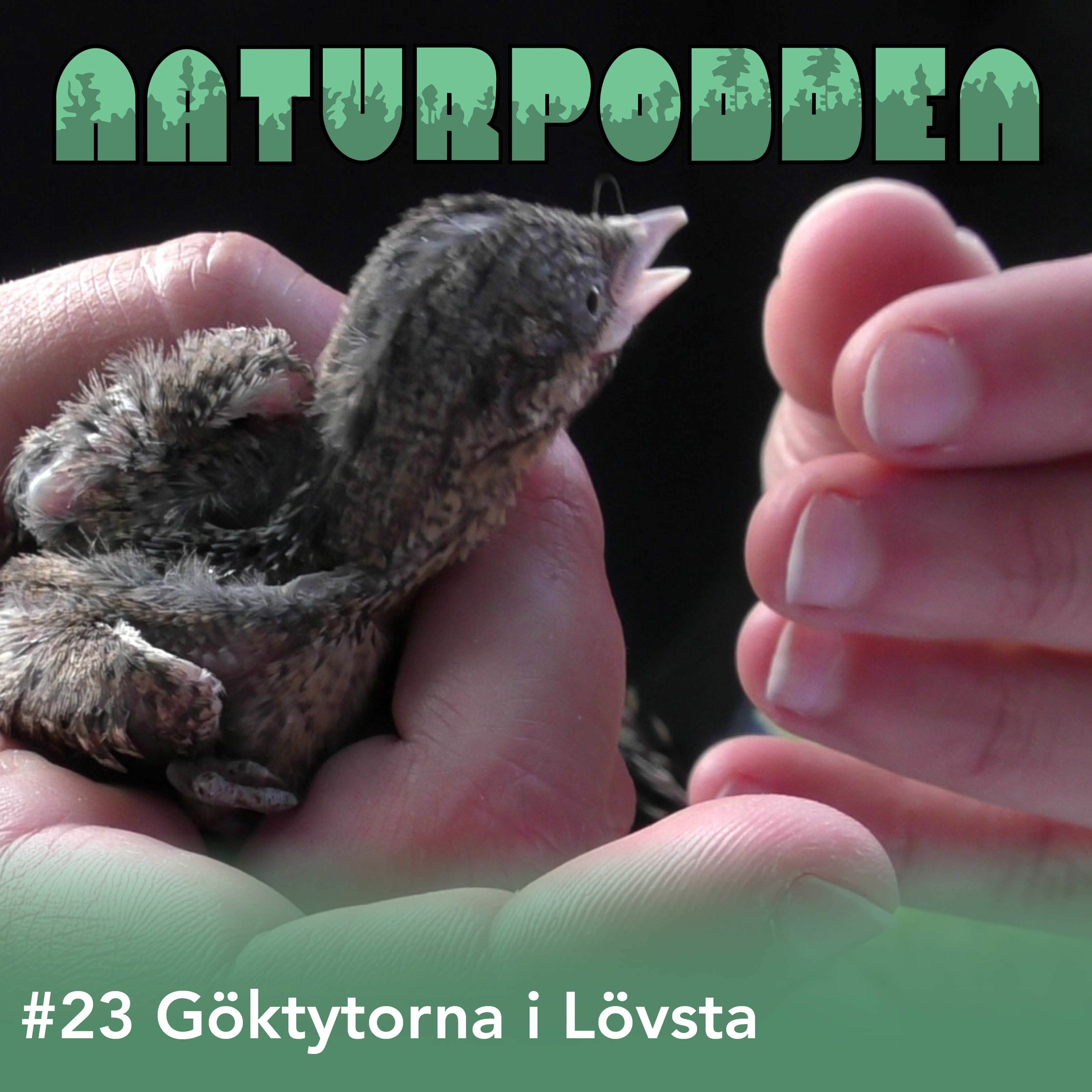 Naturpodden - Producerad av Biotopia