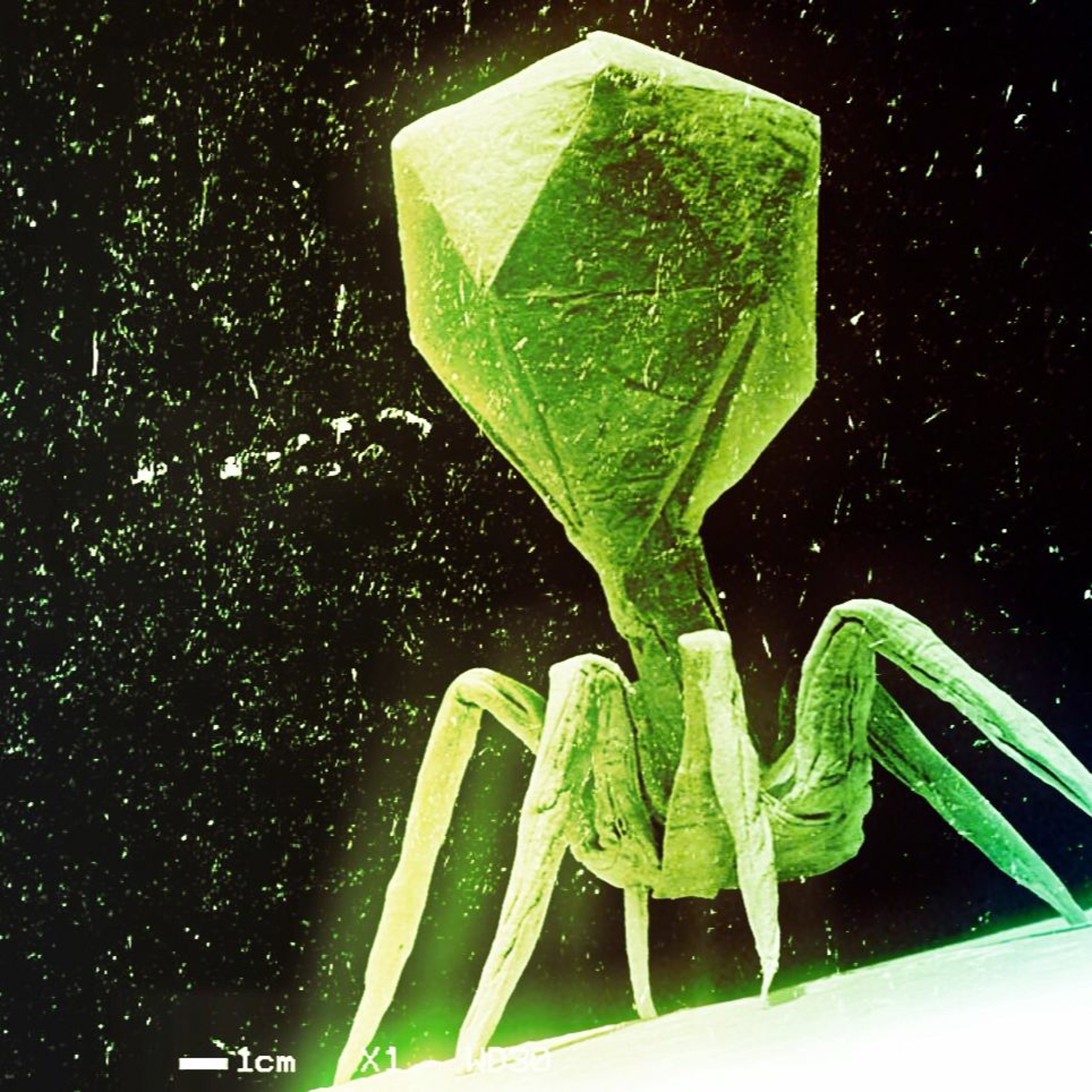 loop a day - virus ti episode artwork