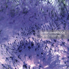 Blooming, for solo guitar | 2012 • J. Lemarquand (guit.)