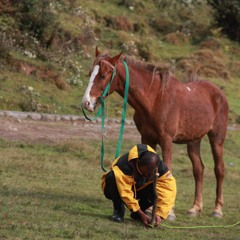 100DAYPROJECT - TRACK04 - #The Traveller