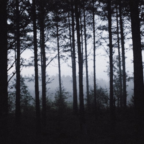 I know a girl called Jonny (Rowland. S Howard) frivolous cover...