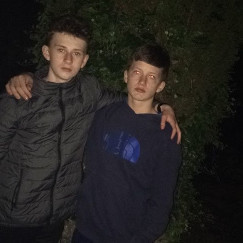 slim shady x whistle