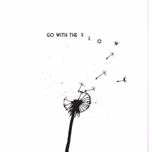 Go with the Flow #1