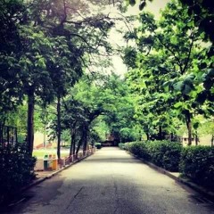 [ OCBs Contest ] Chuyện thường ngày - Pha