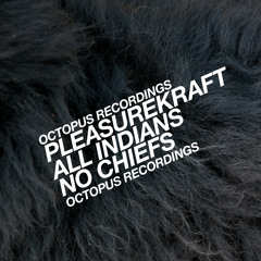Premiere: Pleasurekraft - All Indians, No Chiefs