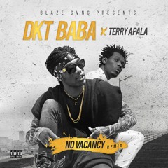 Dkt Baba x Terry Apala - No Vacancy Remix