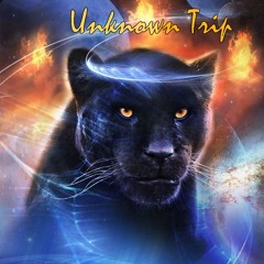 Unknown Trip - Paploviante